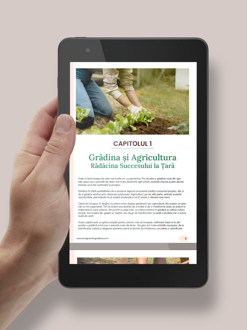Surse de venit la tara - Ghid eBook - imagine 2