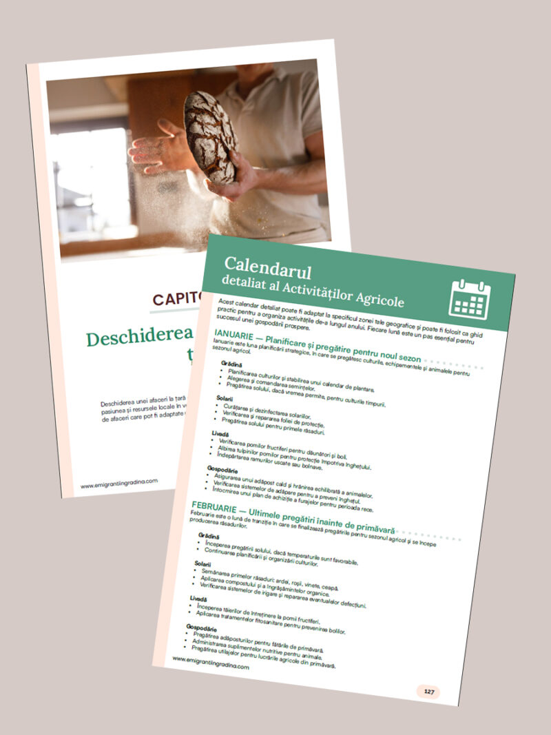 Surse de venit la tara - Ghid eBook - imagine 3