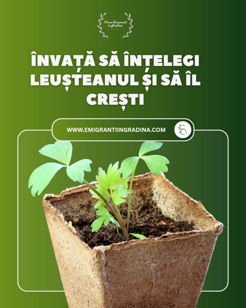 Ghid Leuștean - Aurul Verde al Grădinii tale - imagine 2