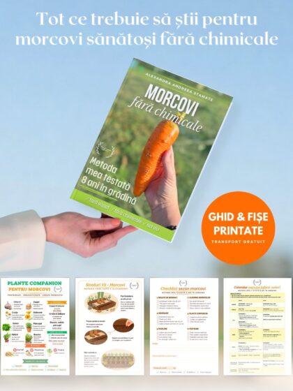 Ghid Morcovi fara chimicale