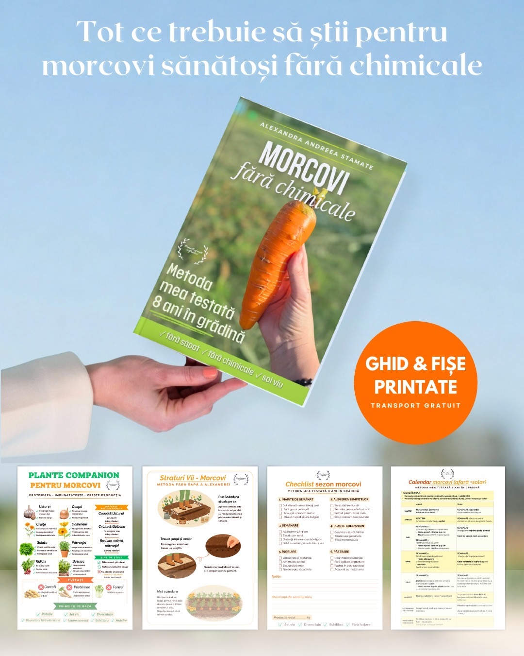 Ghid Morcovi fara chimicale